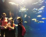 Klasa 5e na zajęciach w ZOO